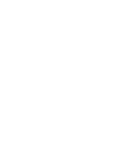 Vector 2